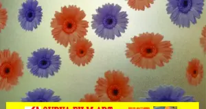 STICKER KACA MOTIF STICKER KACA MOTIF SFA 023 1 023